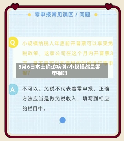 3月6日本土确诊病例/小规模都是零申报吗-第3张图片