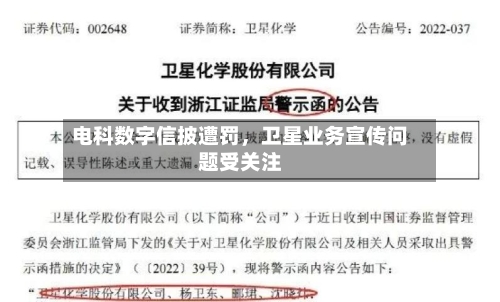 电科数字信披遭罚，卫星业务宣传问题受关注-第2张图片