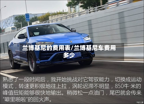 兰博基尼的费用表/兰博基尼车费用多少-第2张图片