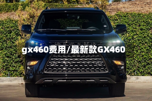 gx460费用/最新款GX460