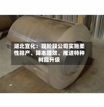 湖北宜化：现阶段公司实施柔性排产、降本增效、推进特种树脂升级-第1张图片
