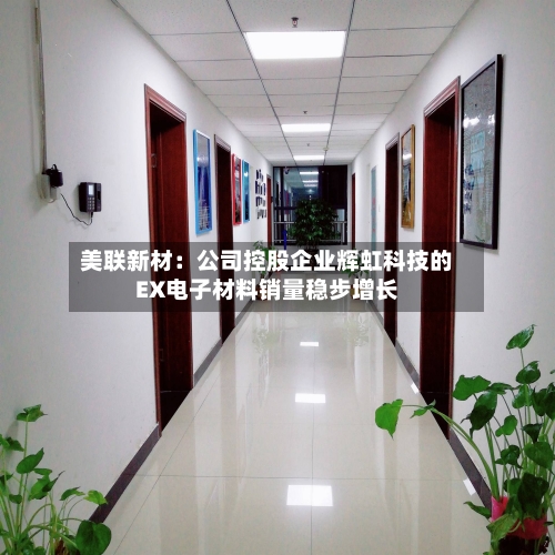 美联新材:公司控股企业辉虹科技的EX电子材料销量稳步增长-第3张图片