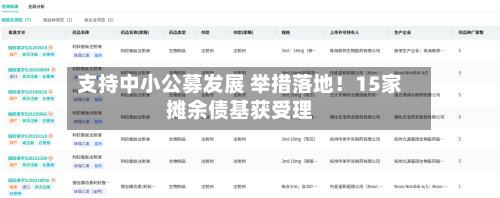 支持中小公募发展 举措落地!15家摊余债基获受理-第2张图片