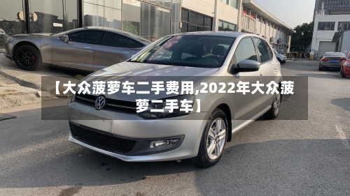 【大众菠萝车二手费用,2022年大众菠萝二手车】-第3张图片