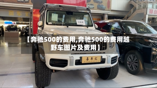 【奔驰500的费用,奔驰500的费用越野车图片及费用】-第2张图片