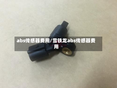 abs传感器费用/雪铁龙abs传感器费用