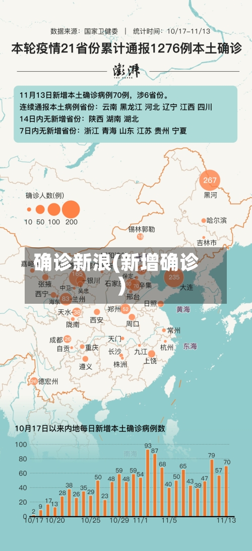 确诊新浪(新增确诊)-第3张图片