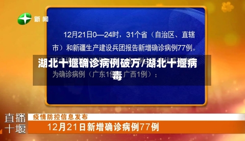 湖北十堰确诊病例破万/湖北十堰病毒-第2张图片