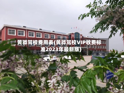 黄骅驾校费用表(黄骅驾校VIP收费标准2023年最新版)