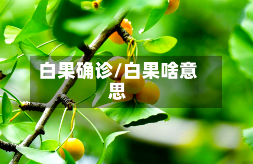 白果确诊/白果啥意思
