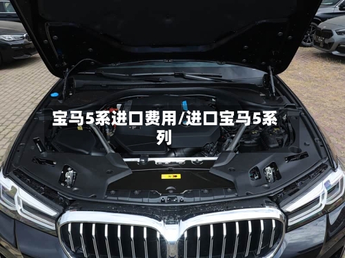 宝马5系进口费用/进口宝马5系列