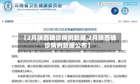 【2月陕西确诊病例数据,2月陕西确诊病例数据公布】-第3张图片