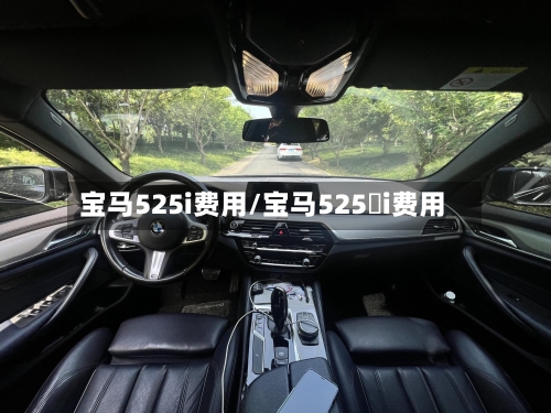 宝马525i费用/宝马525乚i费用-第2张图片