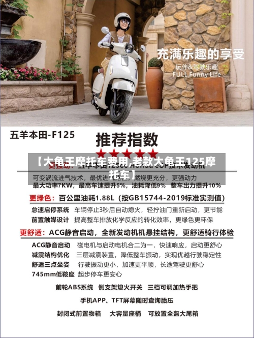 【大龟王摩托车费用,老款大龟王125摩托车】-第2张图片