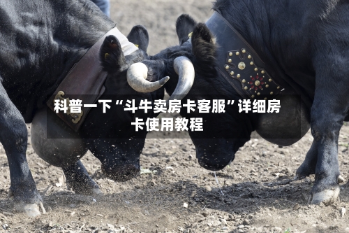 科普一下“斗牛卖房卡客服”详细房卡使用教程-第2张图片