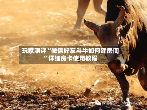 玩家测评“微信好友斗牛如何建房间”详细房卡使用教程-第3张图片