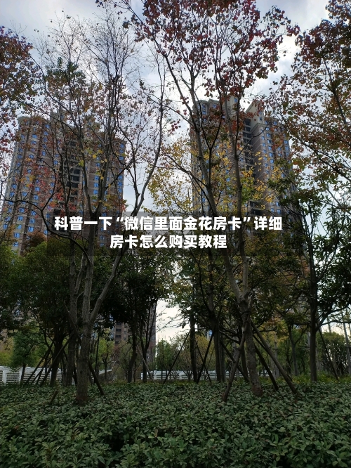 科普一下“微信里面金花房卡”详细房卡怎么购买教程-第3张图片