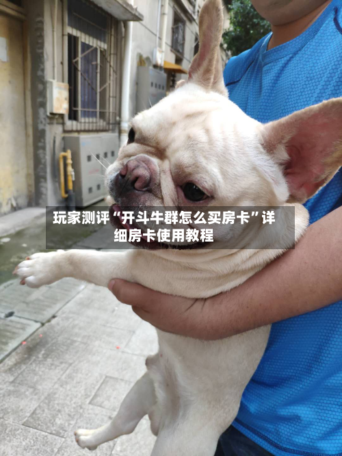 玩家测评“开斗牛群怎么买房卡”详细房卡使用教程-第2张图片