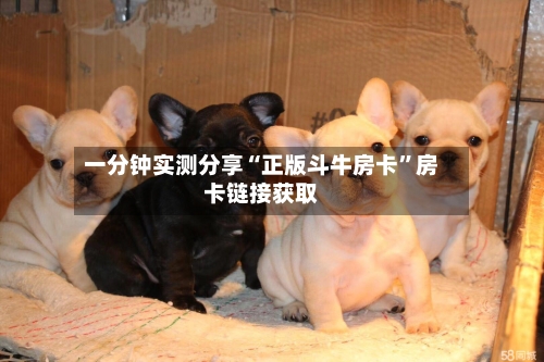 一分钟实测分享“正版斗牛房卡”房卡链接获取-第2张图片