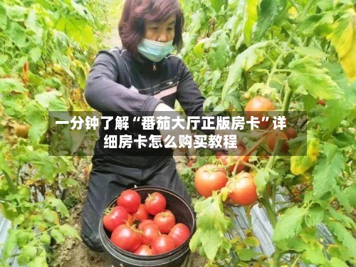 一分钟了解“番茄大厅正版房卡”详细房卡怎么购买教程-第2张图片