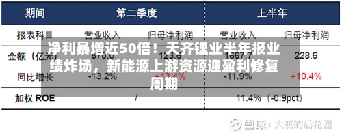 净利暴增近50倍！天齐锂业半年报业绩炸场，新能源上游资源迎盈利修复周期-第2张图片