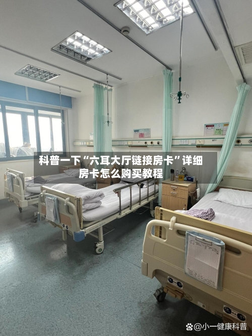 科普一下“六耳大厅链接房卡	”详细房卡怎么购买教程-第3张图片