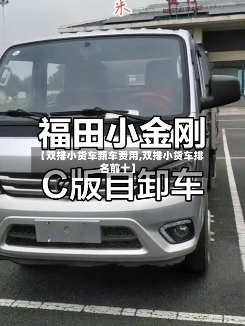 【双排小货车新车费用,双排小货车排名前十】