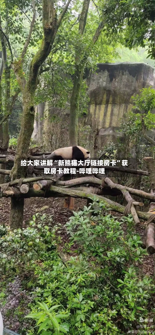 给大家讲解“新熊猫大厅链接房卡”获取房卡教程-哔哩哔哩-第3张图片
