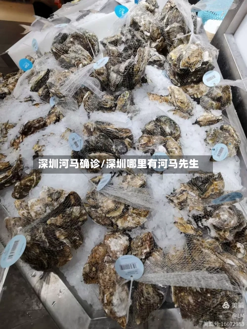 深圳河马确诊/深圳哪里有河马先生