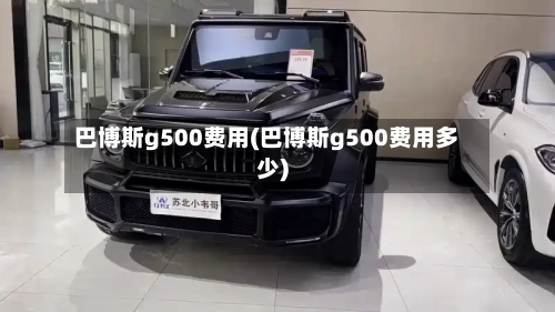 巴博斯g500费用(巴博斯g500费用多少)-第2张图片