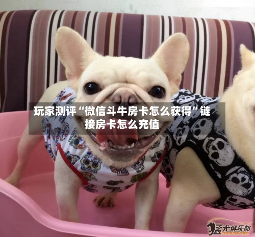 玩家测评“微信斗牛房卡怎么获得	”链接房卡怎么充值-第2张图片