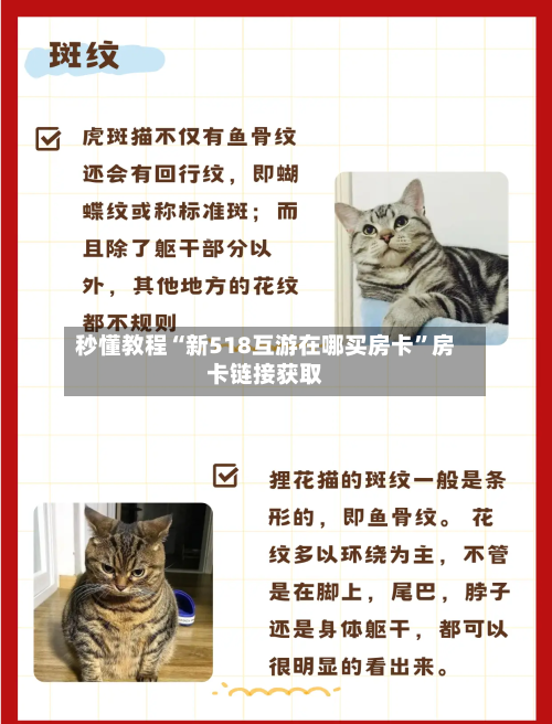 秒懂教程“新518互游在哪买房卡”房卡链接获取-第2张图片