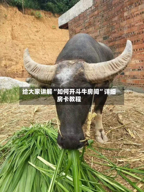 给大家讲解“如何开斗牛房间”详细房卡教程-第2张图片