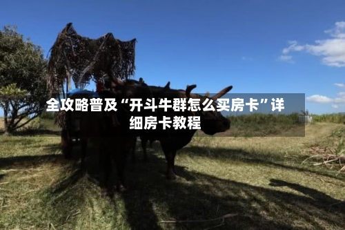 全攻略普及“开斗牛群怎么买房卡”详细房卡教程-第3张图片