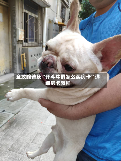 全攻略普及“开斗牛群怎么买房卡”详细房卡教程-第2张图片