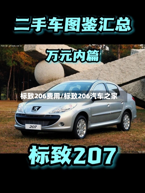 标致206费用/标致206汽车之家-第2张图片
