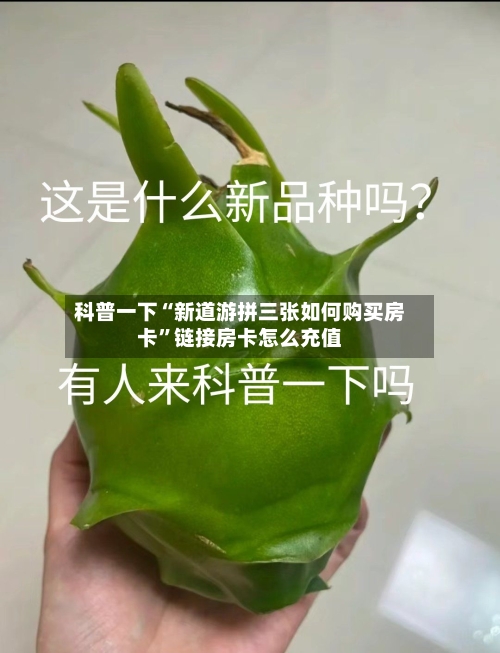 科普一下“新道游拼三张如何购买房卡”链接房卡怎么充值-第2张图片