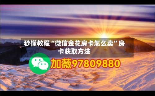 秒懂教程“微信金花房卡怎么卖”房卡获取方法-第2张图片