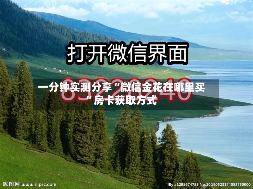 一分钟实测分享“微信金花在哪里买”房卡获取方式-第2张图片