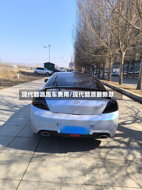 现代酷派跑车费用/现代酷派最新款-第2张图片