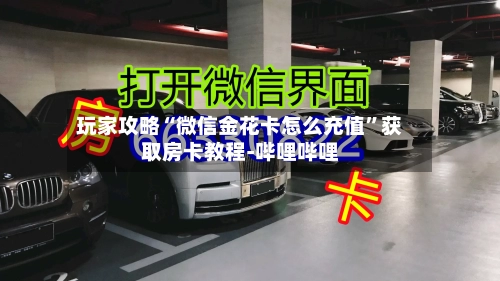 玩家攻略“微信金花卡怎么充值”获取房卡教程-哔哩哔哩-第3张图片