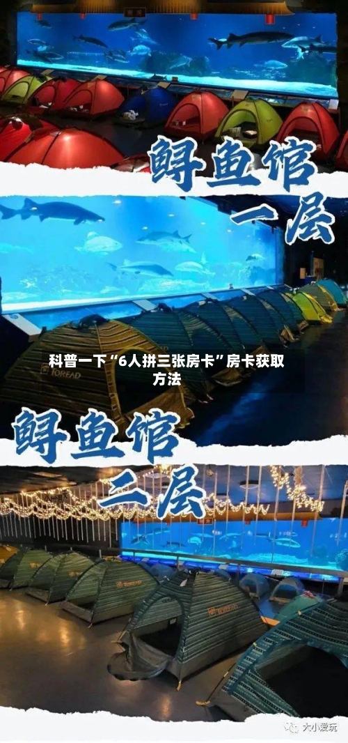 科普一下“6人拼三张房卡	”房卡获取方法-第2张图片