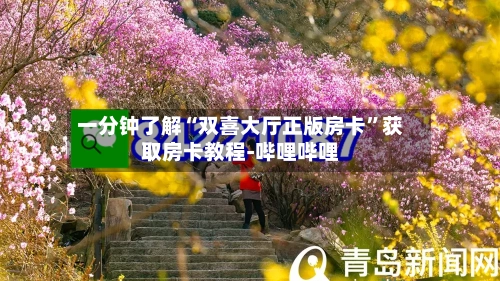 一分钟了解“双喜大厅正版房卡”获取房卡教程-哔哩哔哩-第2张图片