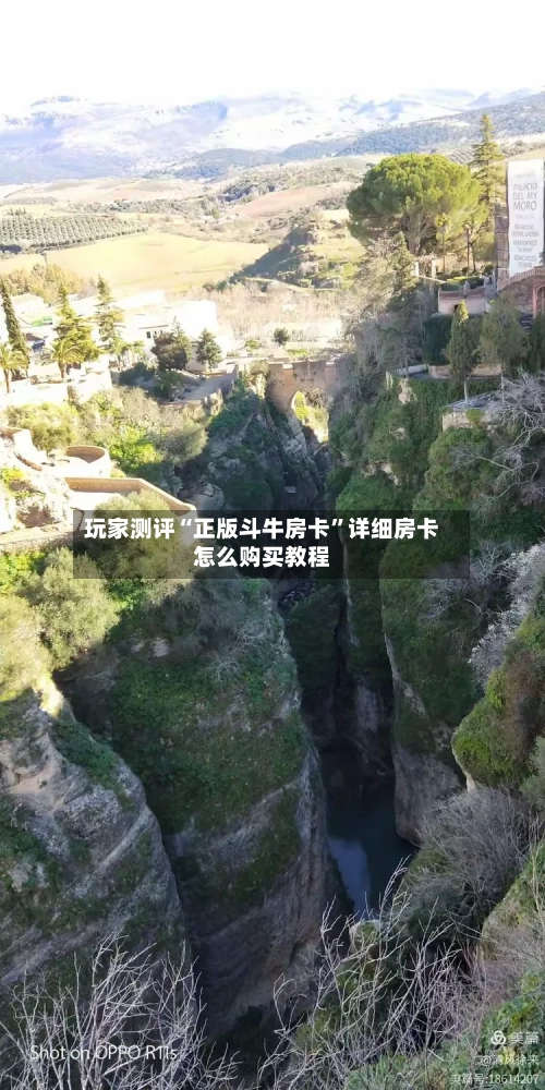 玩家测评“正版斗牛房卡”详细房卡怎么购买教程-第2张图片