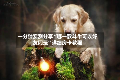一分钟实测分享“哪一款斗牛可以好友同玩	”详细房卡教程-第2张图片