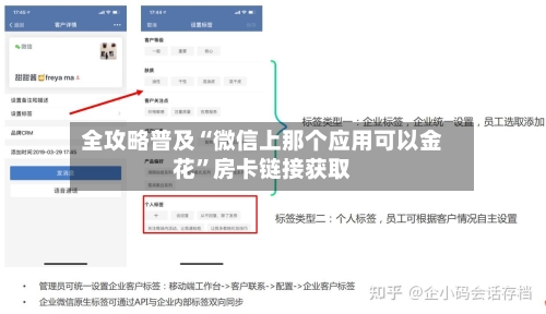 全攻略普及“微信上那个应用可以金花”房卡链接获取-第2张图片
