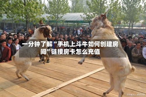 一分钟了解“手机上斗牛如何创建房间”链接房卡怎么充值-第3张图片