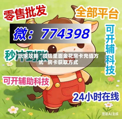 玩家攻略“微信里面金花房卡充值方式”房卡获取方式-第3张图片