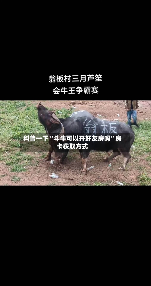 科普一下“斗牛可以开好友房吗”房卡获取方式-第3张图片