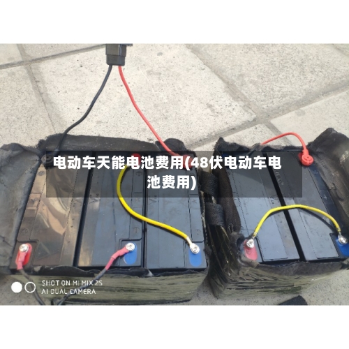 电动车天能电池费用(48伏电动车电池费用)